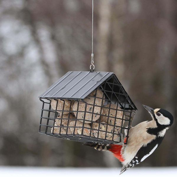 Mangeoire grillagé pour boules de graisse Cottage - Wildlife Garden 