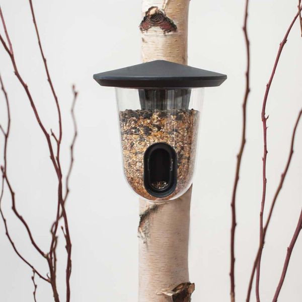 Mangeoire pour oiseaux du jardin FeedR - GREENLIFE by BIOM Paris