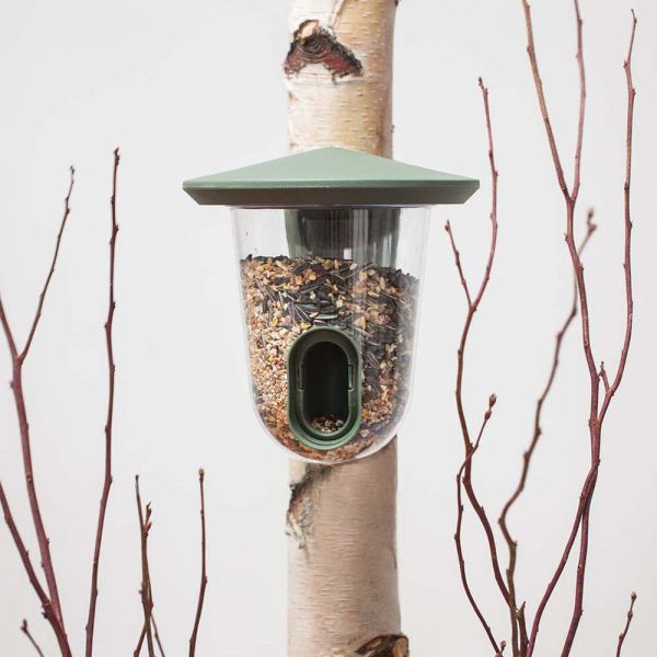 Mangeoire pour oiseaux du jardin FeedR - BIO-0108