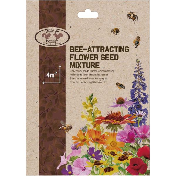 Mélange graines de fleurs attractives pour insectes