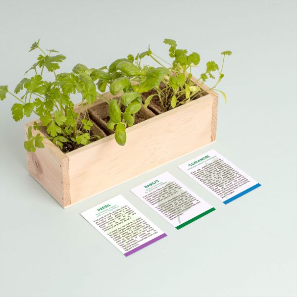 Mini potager d’herbes aromatiques - MAN-0136