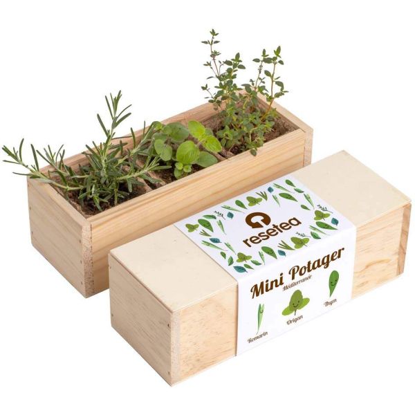 Mini potager d’herbes aromatiques