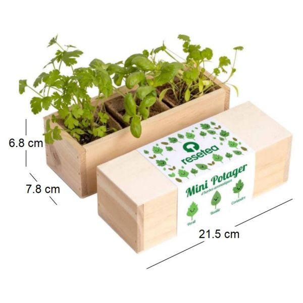 Mini potager d’herbes aromatiques - 13,74