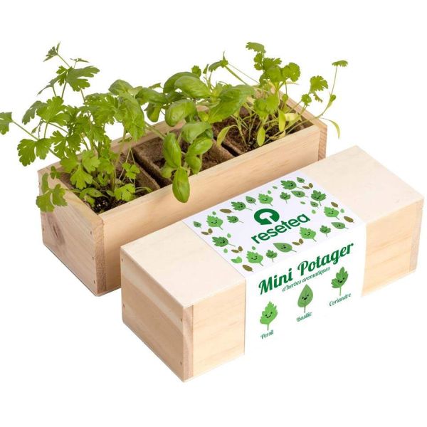 Mini potager d’herbes aromatiques