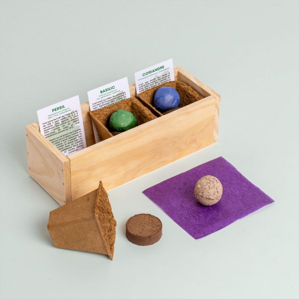 Mini potager d’herbes aromatiques - Resetea