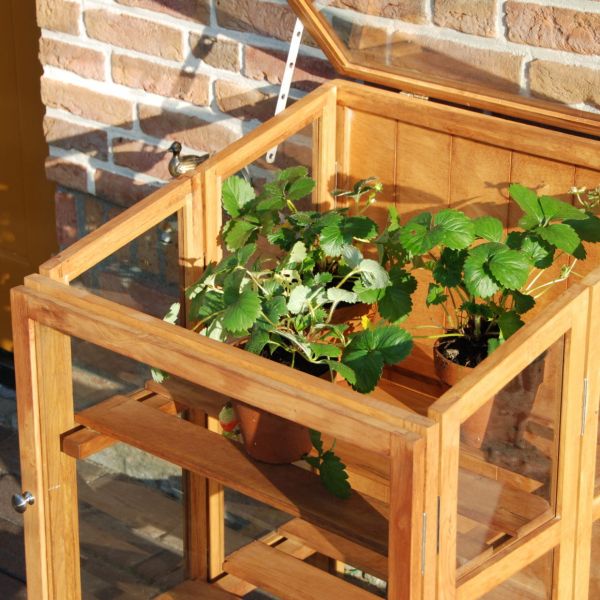 Mini serre de jardin en bois dur - ESS-0826