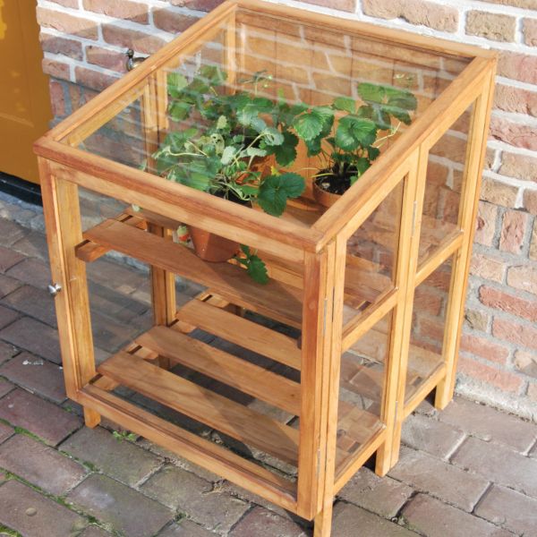 Mini serre de jardin en bois dur - ESSCHERT DESIGN