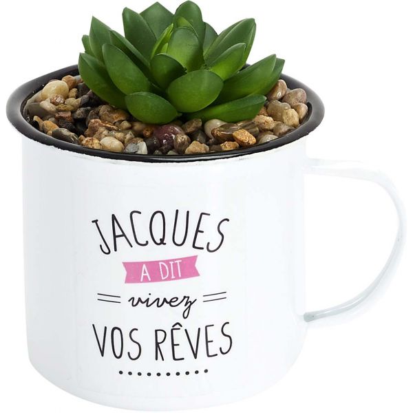 Mugs avec plantes artificielles Jacques a dit (Lot de 4) - 23,90