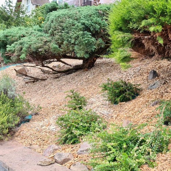Mulch paillage couvre sol 125 Litres - GUEULES DES BOIS