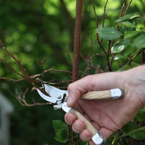 Multi-outils en acier inoxydable et bois de frêne - GARDEN TOOLS