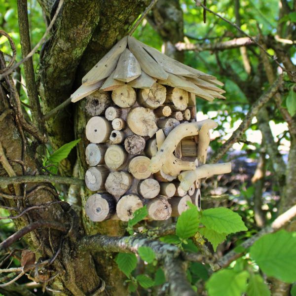 Nichoir demi-rond en bois d'albésia à accorcher - 5