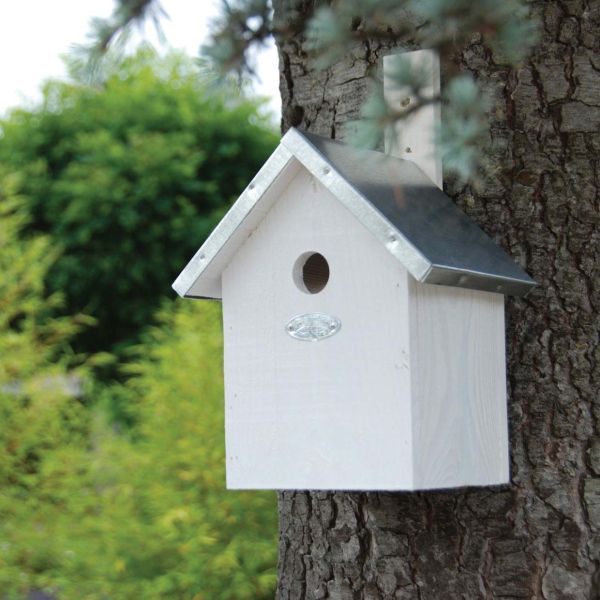 Nichoir à mésange en bois de pin blanc - BEST FOR BIRDS