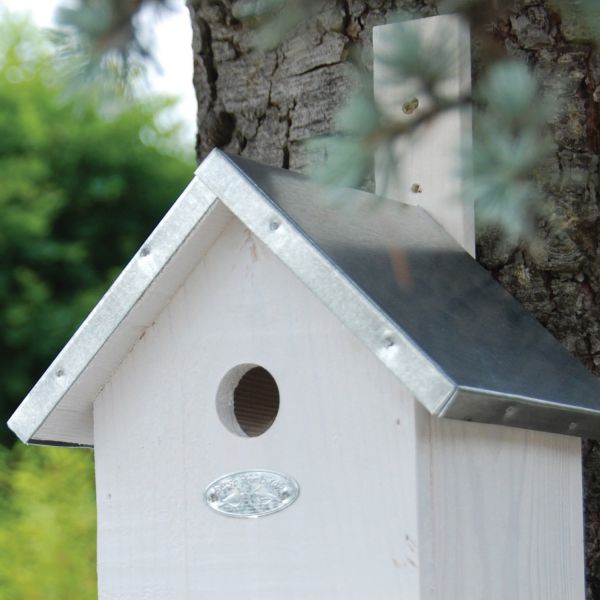 Nichoir à mésange en bois de pin blanc - 8