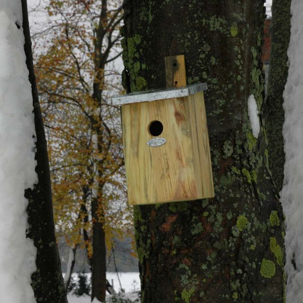 Nichoir mésange bois et zinc - BEST FOR BIRDS