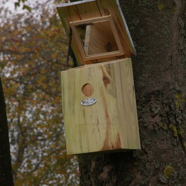 Nichoir mésange bois et zinc - BEST FOR BIRDS