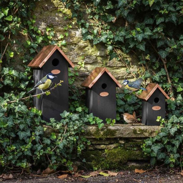 Nichoir à oiseaux en pin et cuivre - BEST FOR BIRDS