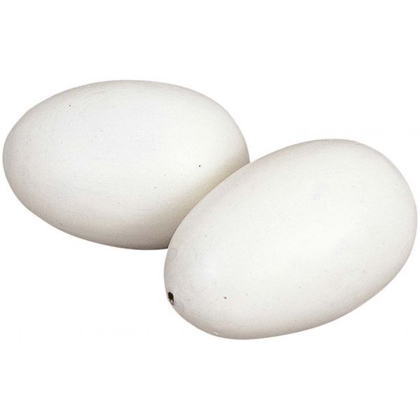 Oeufs factices pour apprentissage (Lot de 2)