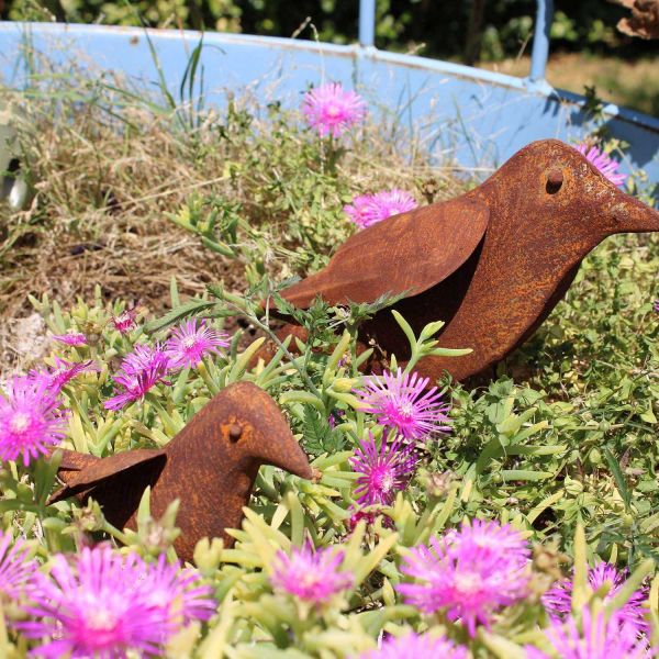Oiseau décoratif en fer forgé rouillé - 