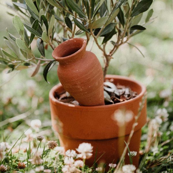 Ollas à planter en argile Cône - Ollas Lutton