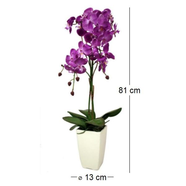 Orchidée fuchsia en pot blanc - 28,73