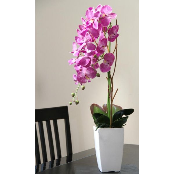 Orchidée fuchsia en pot blanc - SOV-0109