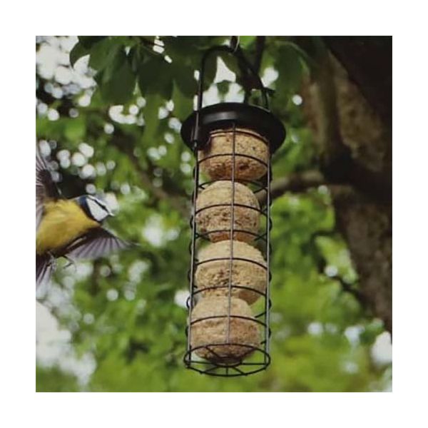 Pack complet nourriture oiseaux du jardin - BEST FOR BIRDS