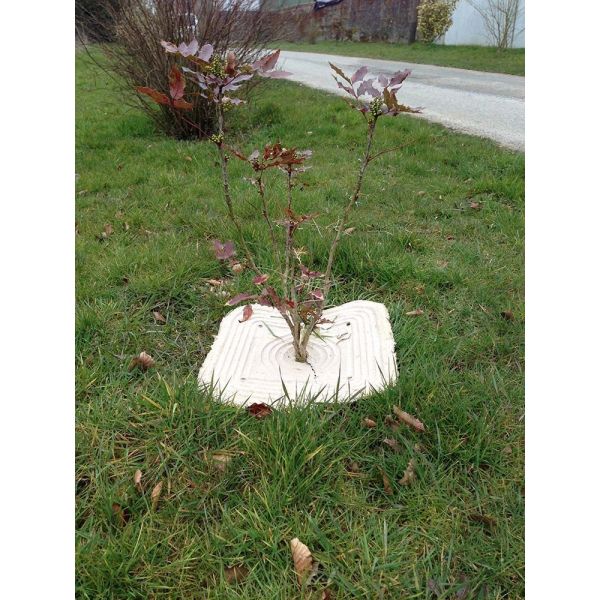Paillage en fibres recyclées (Lot de 50) - 44,90