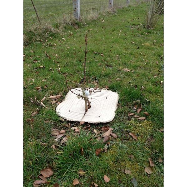 Paillage en fibres recyclées (Lot de 50) - PM ENVIRONNEMENT