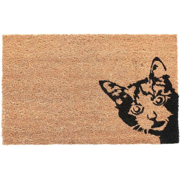 Paillasson en coco et PVC 60 x 40 cm