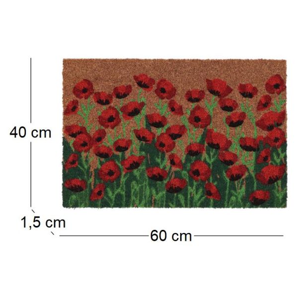 Paillasson en coco et PVC 60 x 40 cm - ESS-1392