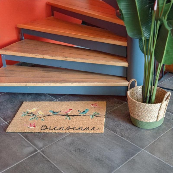 Paillasson coco intérieur extérieur 75 x 45 cm - AUBRY GASPARD