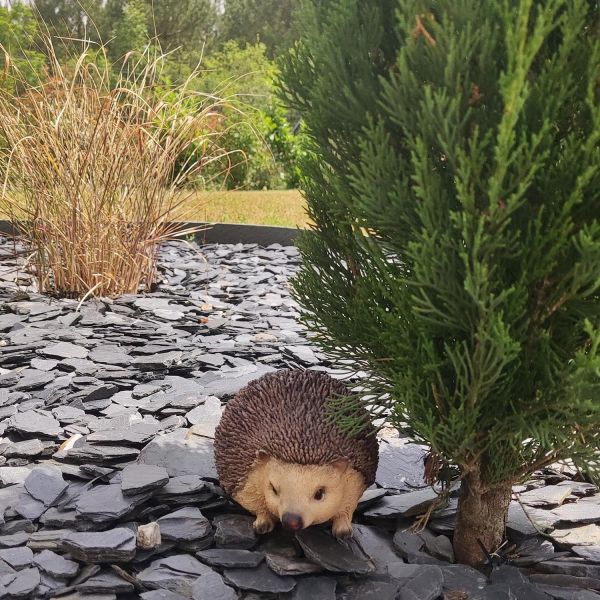 Paillis d'ardoises bleu noir - 5