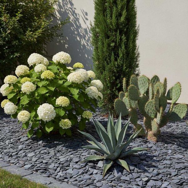 Paillis d'ardoises bleu noir - SECRET VERT