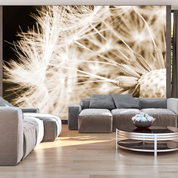 Papier peint - Dandelion - sepia - ARTGEIST