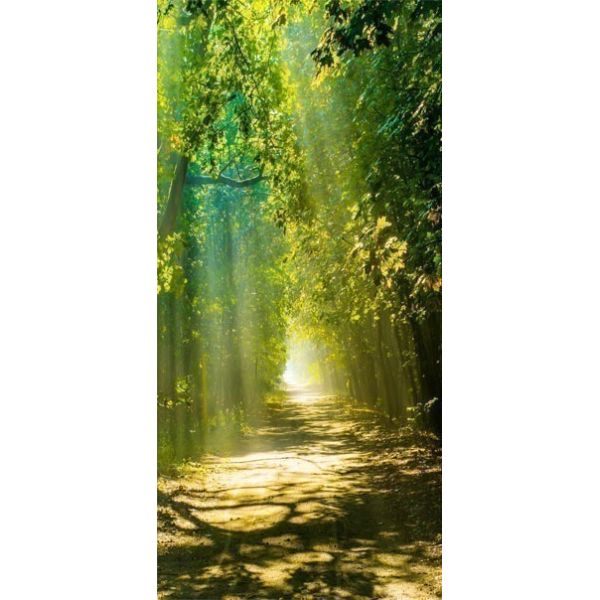 Papier-peint pour porte - Sunny Avenue
