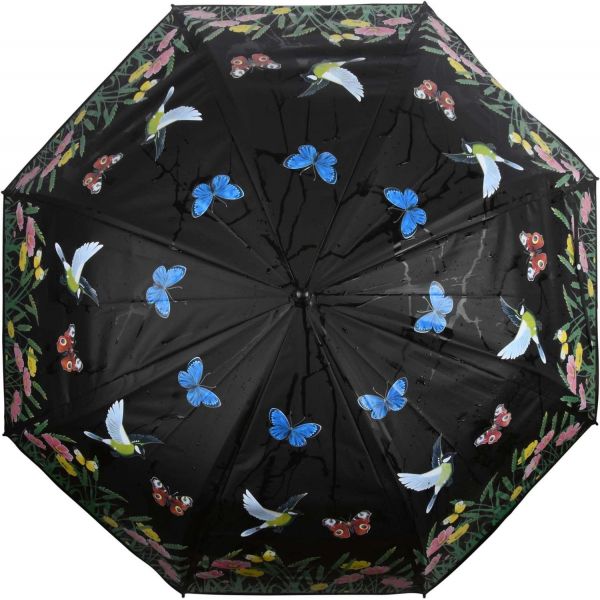 Parapluie oiseau couleurs changeantes - 5