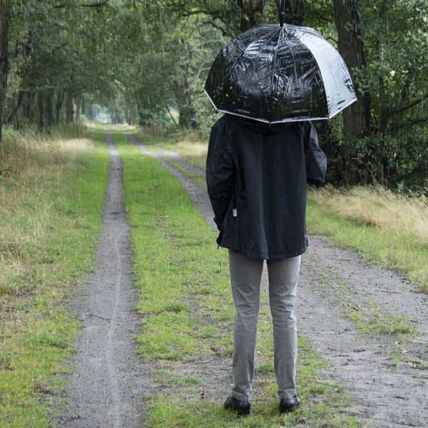 Parapluie transparent noir - 6