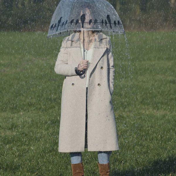 Parapluie transparent noir - 5