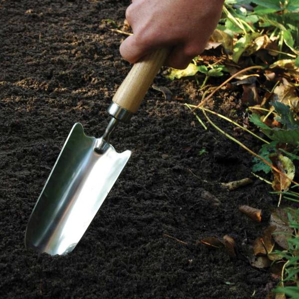 Pelle plantoir en acier inoxydable et bois de frêne - 8