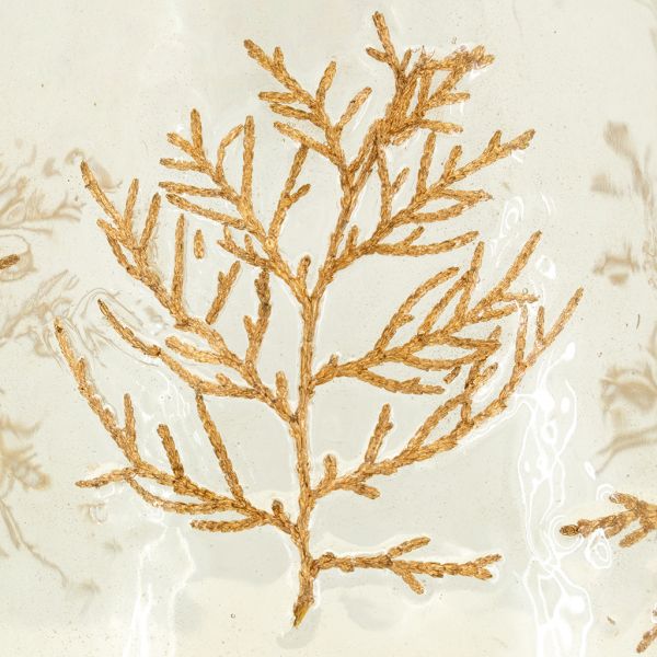 Photophore en verre Fougère - 19,90