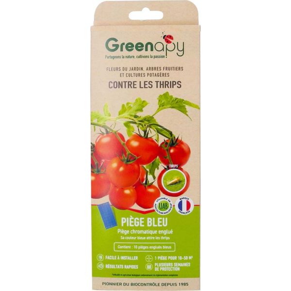 Piège englué spécial thrips (Lot de 10 plaques)