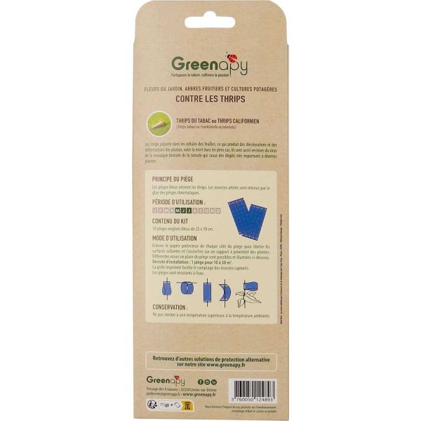 Piège englué spécial thrips (Lot de 10 plaques) - 
