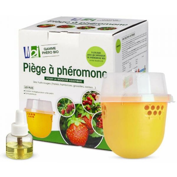 Piège à phéromones mouche asiatique des fruits rouges Droso Pro - M2i Biocontrol