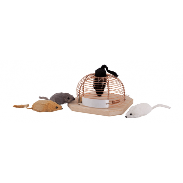 Piège à Souris Vivante - 2X Attrapes Souris Réutilisables - Piège Souris  sans Danger pour Enfants et Animaux Domestiques - Attraper et Relâcher sans  Cruauté ! : : Jardin