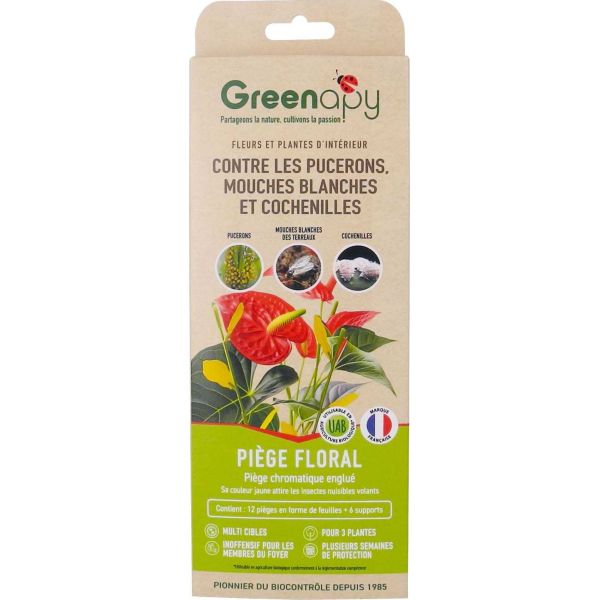 Pièges d'interieur chromatiques floral englués spécial pucerons - mouches - aleurodes