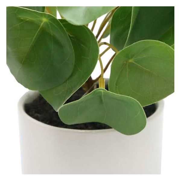 Pilea artificiel toucher naturel pot céramique - 10,90