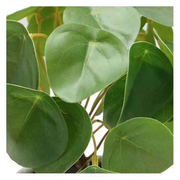 Pilea artificiel toucher naturel pot céramique - 