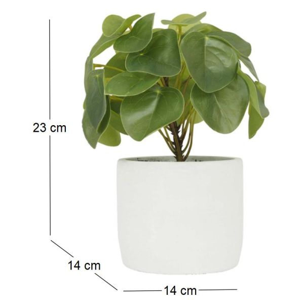 Pilea artificielle pot effet ciment 23 cm - SOV-0183
