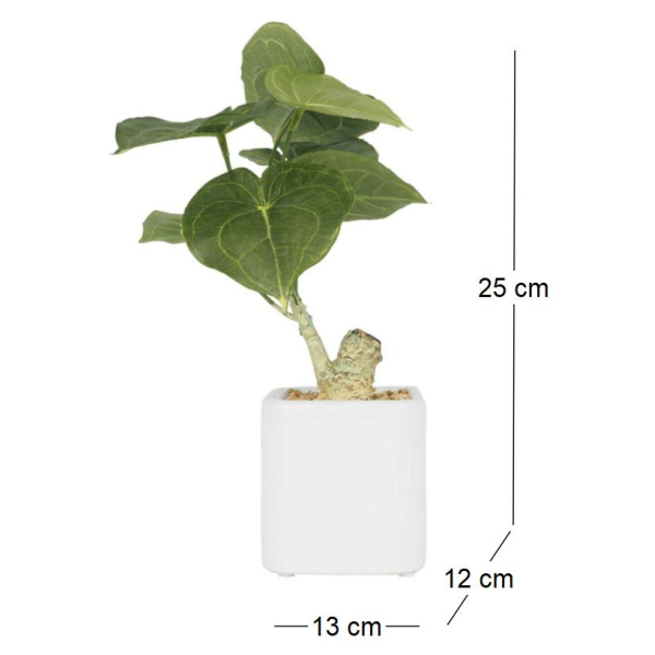 Plante artificielle pot carré blanc mat 26 cm - SOV-0180