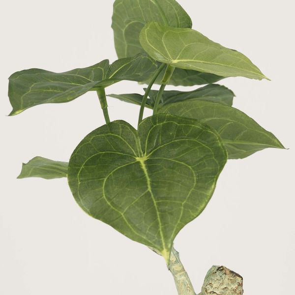 Plante artificielle pot carré blanc mat 26 cm - LIGNE DECO